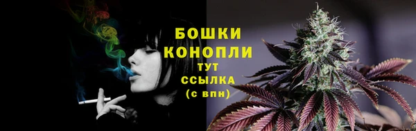 прущий лед Абаза