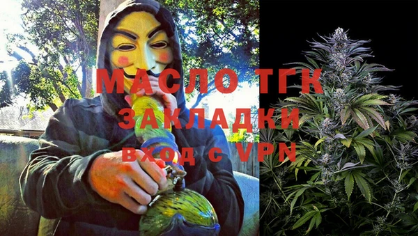 мет Алексин