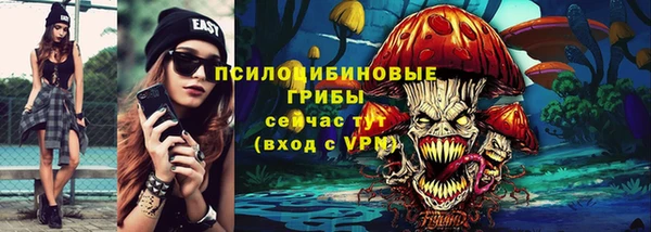 мет Алексин