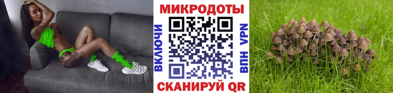 купить наркоту  Иркутск  МЕГА ТОР  Псилоцибиновые грибы ЛСД 